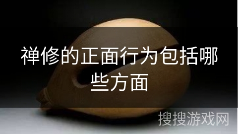 禅修的正面行为包括哪些方面