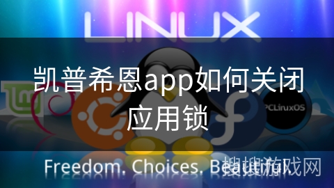 凯普希恩app如何关闭应用锁