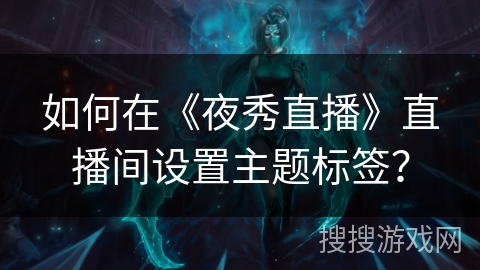 如何在《夜秀直播》直播间设置主题标签？