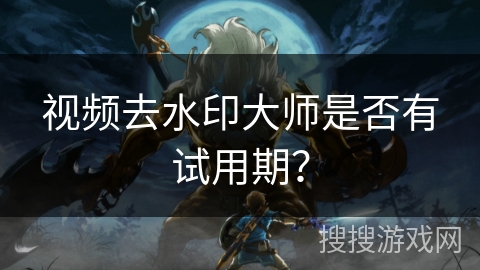 视频去水印大师是否有试用期？