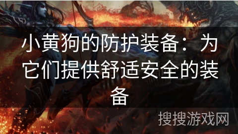 小黄狗的防护装备：为它们提供舒适安全的装备