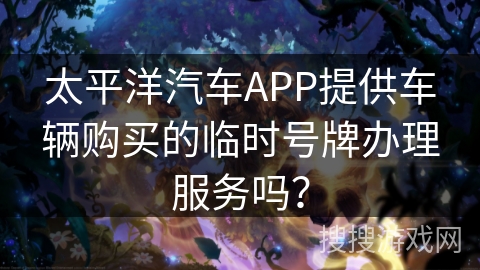 太平洋汽车APP提供车辆购买的临时号牌办理服务吗？