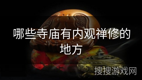 哪些寺庙有内观禅修的地方
