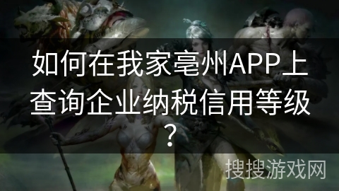 如何在我家亳州APP上查询企业纳税信用等级？