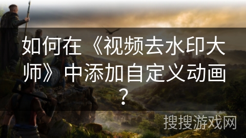 如何在《视频去水印大师》中添加自定义动画？