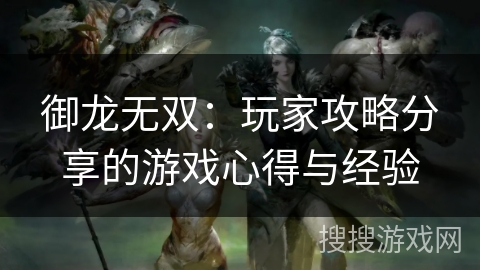 御龙无双：玩家攻略分享的游戏心得与经验