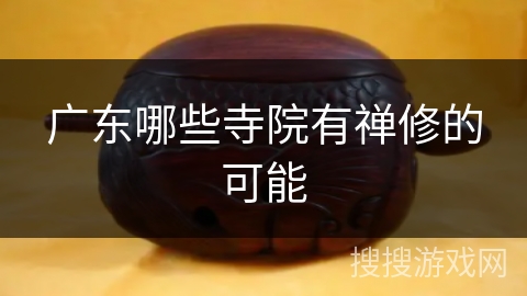 广东哪些寺院有禅修的可能