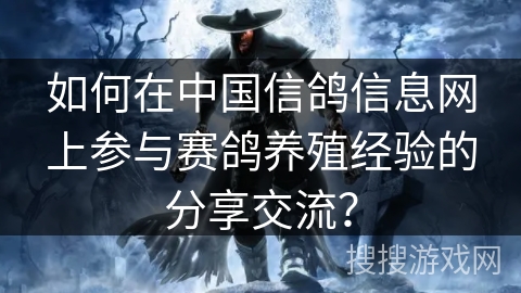 如何在中国信鸽信息网上参与赛鸽养殖经验的分享交流？