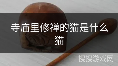 寺庙里修禅的猫是什么猫