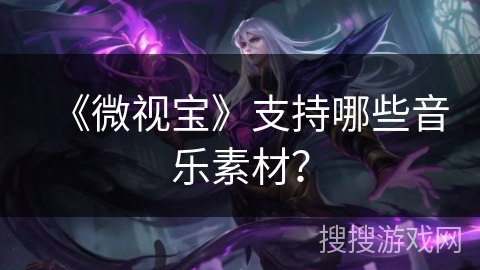 《微视宝》支持哪些音乐素材？