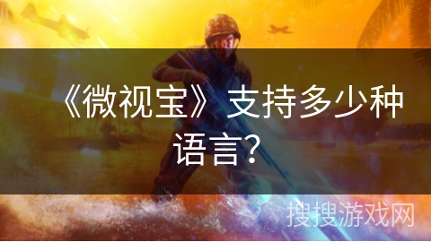 《微视宝》支持多少种语言? 《微视宝》支持多少种语言?