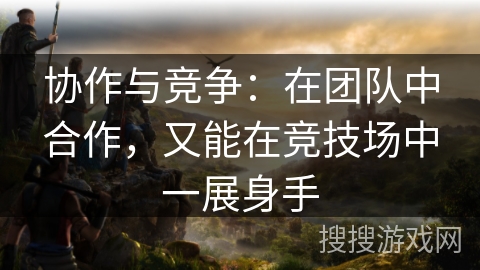 协作与竞争：在团队中合作，又能在竞技场中一展身手