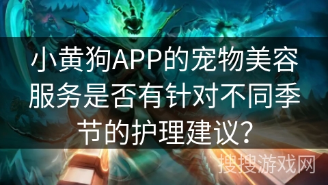 小黄狗APP的宠物美容服务是否有针对不同季节的护理建议？