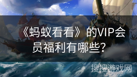 《蚂蚁看看》的VIP会员福利有哪些？