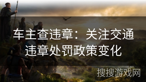 车主查违章：关注交通违章处罚政策变化