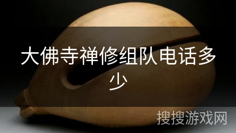 大佛寺禅修组队电话多少