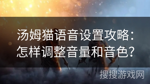 汤姆猫语音设置攻略：怎样调整音量和音色？