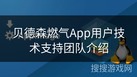 贝德森燃气App用户技术支持团队介绍