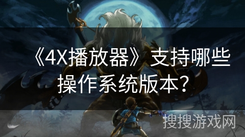 《4X播放器》支持哪些操作系统版本？