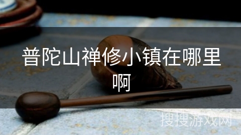 普陀山禅修小镇在哪里啊