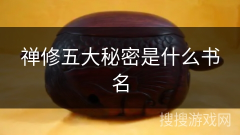 禅修五大秘密是什么书名 禅修五大秘密是什么书名