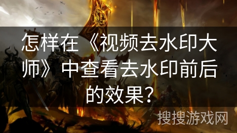 怎样在《视频去水印大师》中查看去水印前后的效果？