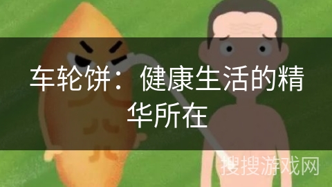 车轮饼：健康生活的精华所在