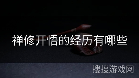 禅修开悟的经历有哪些