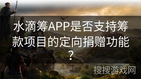 水滴筹APP是否支持筹款项目的定向捐赠功能？