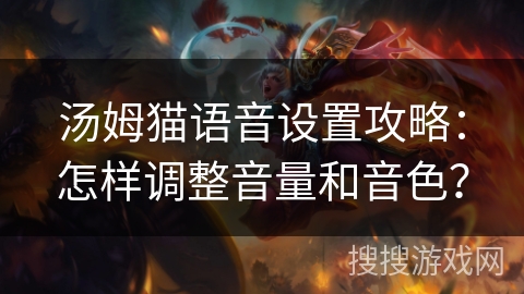 汤姆猫语音设置攻略：怎样调整音量和音色？