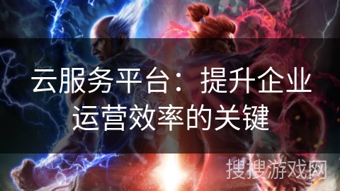 云服务平台：提升企业运营效率的关键