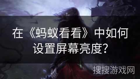 在《蚂蚁看看》中如何设置屏幕亮度？