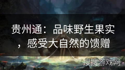 贵州通：品味野生果实，感受大自然的馈赠