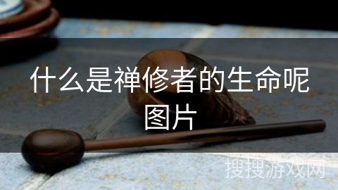 什么是禅修者的生命呢图片 什么是禅修者的生命呢图片