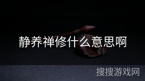 静养禅修什么意思啊