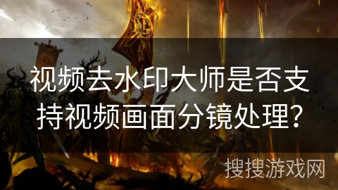 视频去水印大师是否支持视频画面分镜处理？