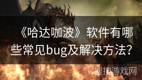 《哈达咖波》软件有哪些常见bug及解决方法？