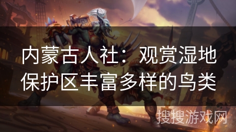 内蒙古人社：观赏湿地保护区丰富多样的鸟类