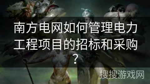 南方电网如何管理电力工程项目的招标和采购？