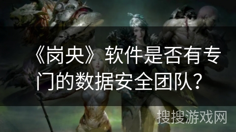 《岗央》软件是否有专门的数据安全团队？