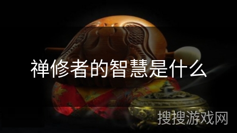 禅修者的智慧是什么