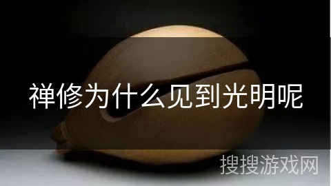 禅修为什么见到光明呢