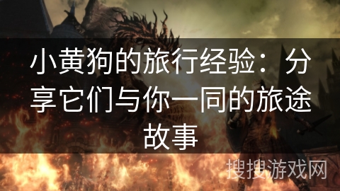 小黄狗的旅行经验：分享它们与你一同的旅途故事