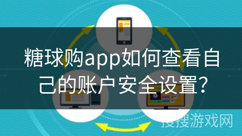 糖球购app如何查看自己的账户安全设置？