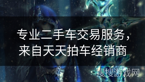 专业二手车交易服务，来自天天拍车经销商