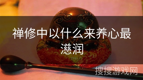 禅修中以什么来养心最濨润