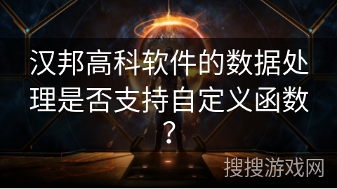 汉邦高科软件的数据处理是否支持自定义函数？