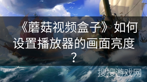 《蘑菇视频盒子》如何设置播放器的画面亮度？