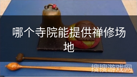 哪个寺院能提供禅修场地
