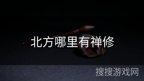 北方哪里有禅修 北方哪里有禅修